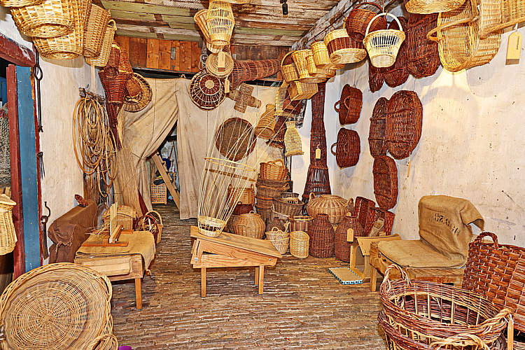 SDWA seniorenuitje2023_135